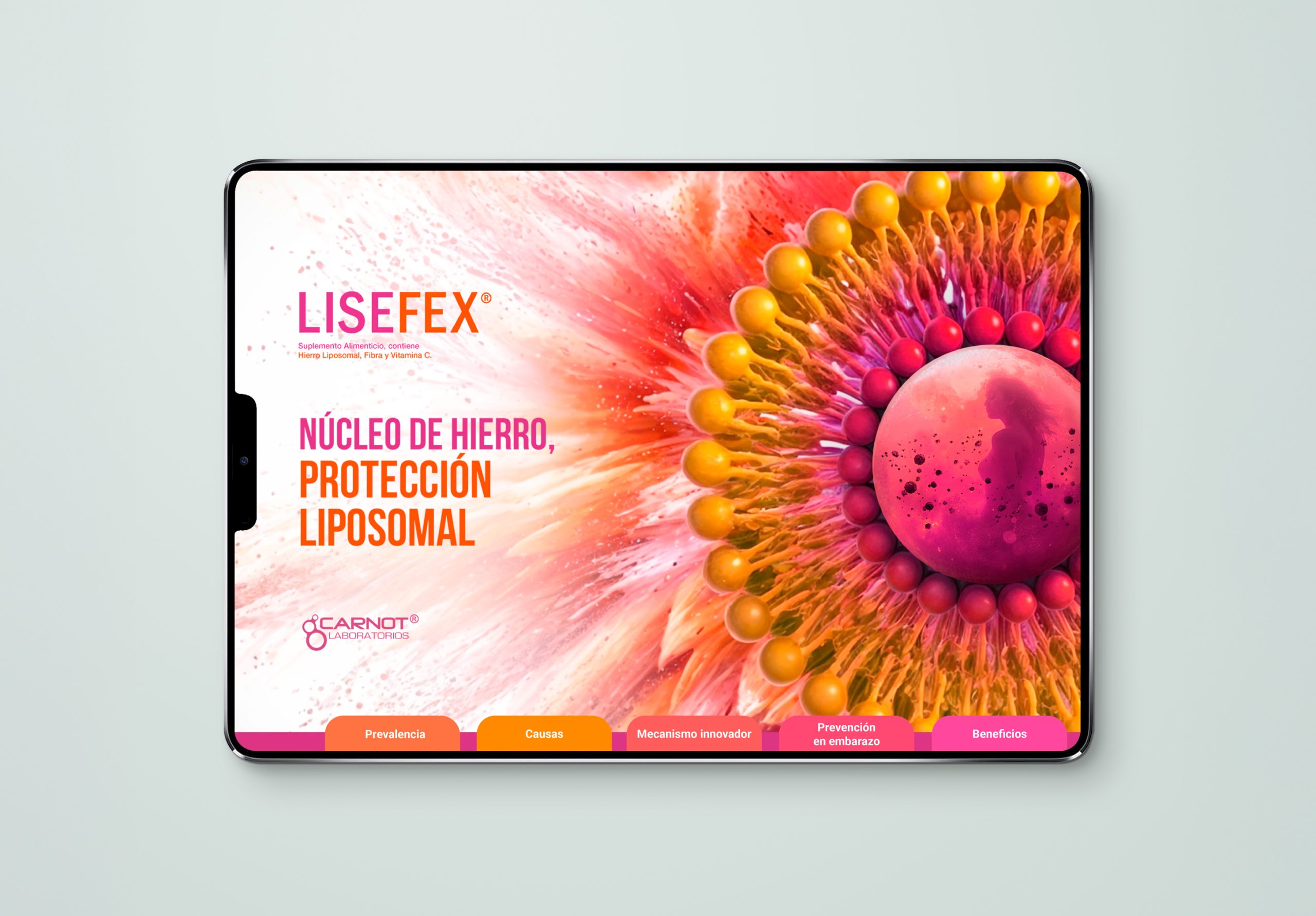 Lisefex.iPad.01